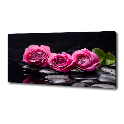 Foto quadro su tela Rose rosa