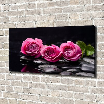Foto quadro su tela Rose rosa