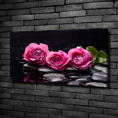 Foto quadro su tela Rose rosa