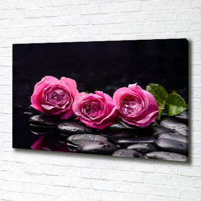 Foto quadro su tela Rose rosa