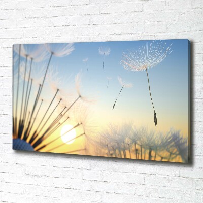 Foto quadro su tela Semi di tarassaco