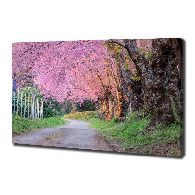 Quadro stampa su tela Fiori di ciliegio