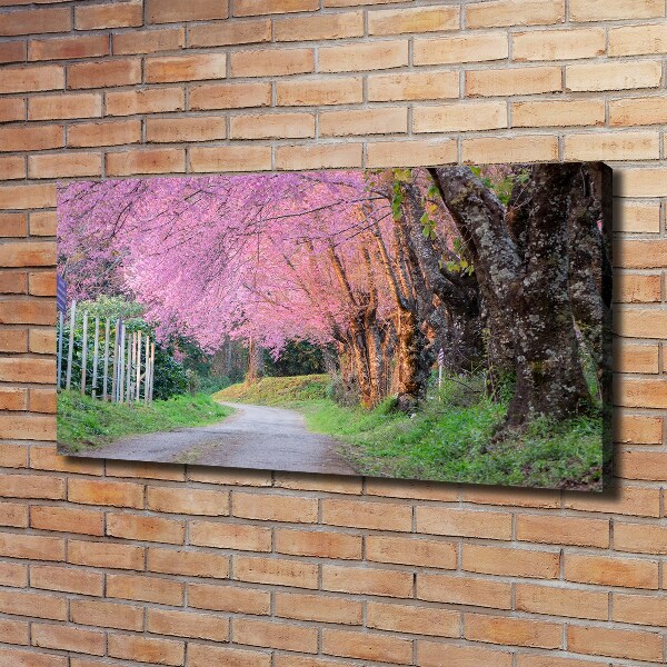 Quadro stampa su tela Fiori di ciliegio
