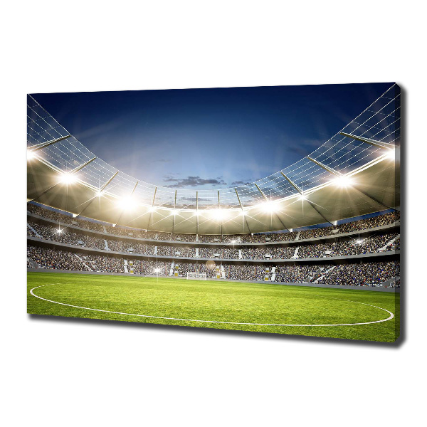 Foto quadro su tela Stadio
