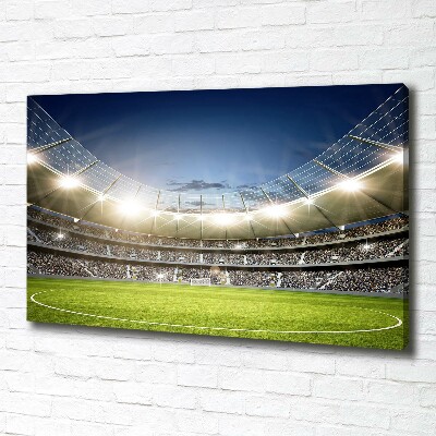 Foto quadro su tela Stadio