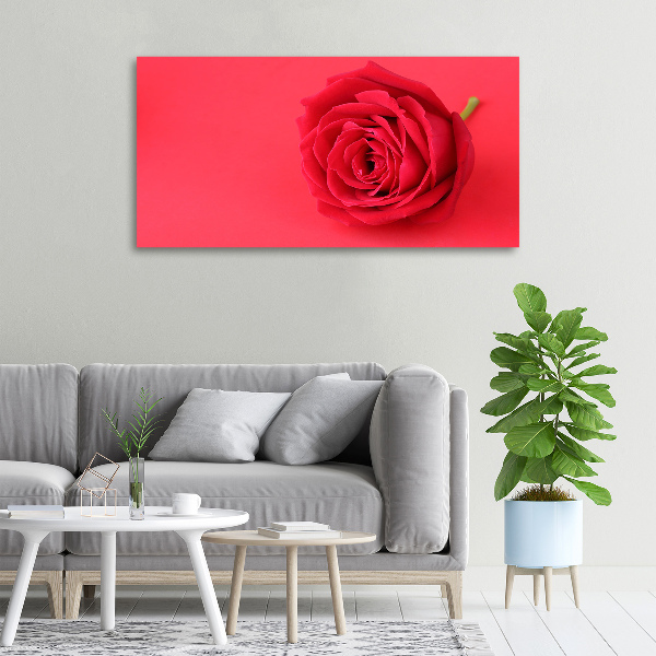 Foto quadro su tela Rosa rossa