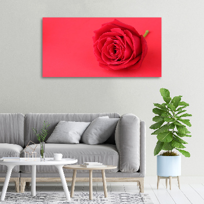 Foto quadro su tela Rosa rossa