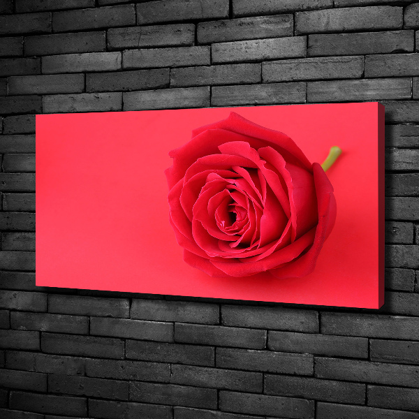 Foto quadro su tela Rosa rossa