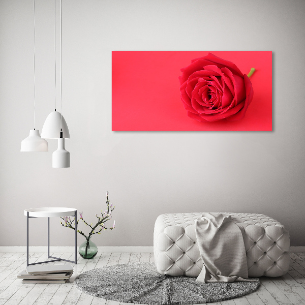 Foto quadro su tela Rosa rossa