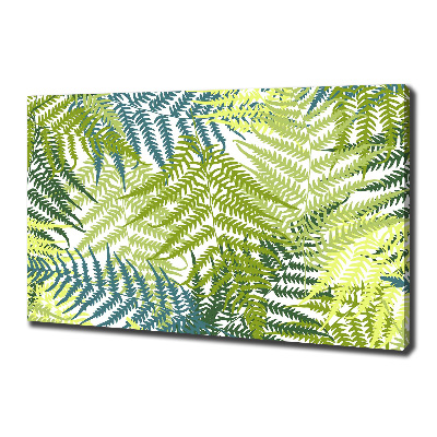 Foto quadro su tela Motivo a felce