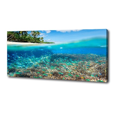 Quadro su tela Barriera corallina