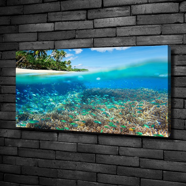 Quadro su tela Barriera corallina
