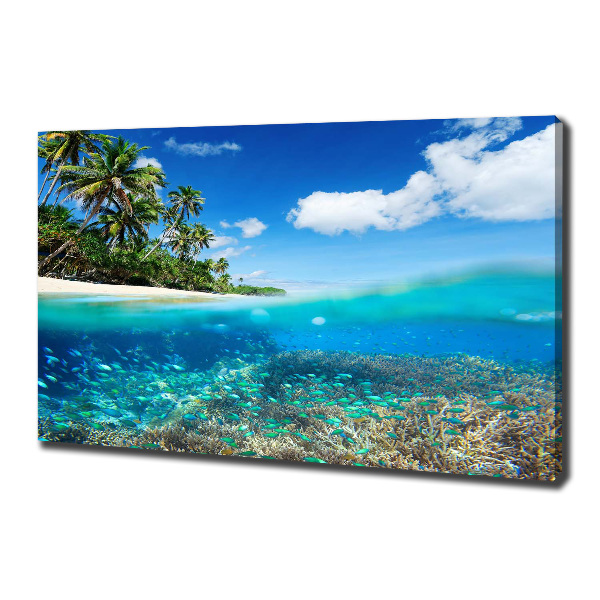 Quadro su tela Barriera corallina