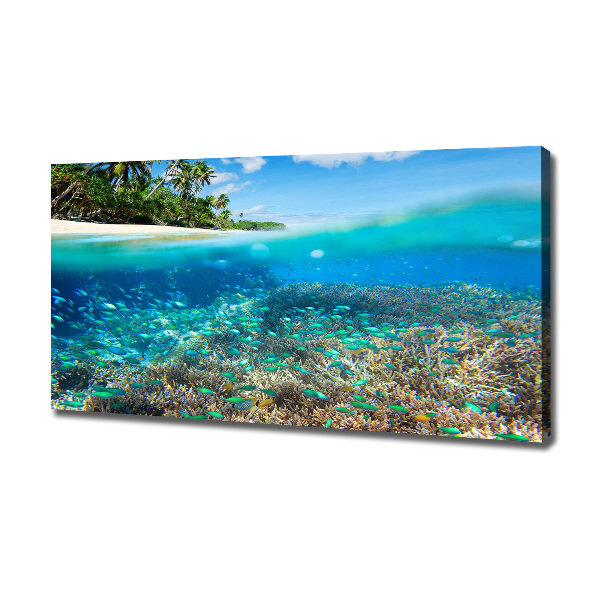 Quadro su tela Barriera corallina