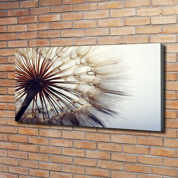 Quadro stampa su tela Dente di leone