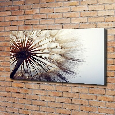 Quadro stampa su tela Dente di leone