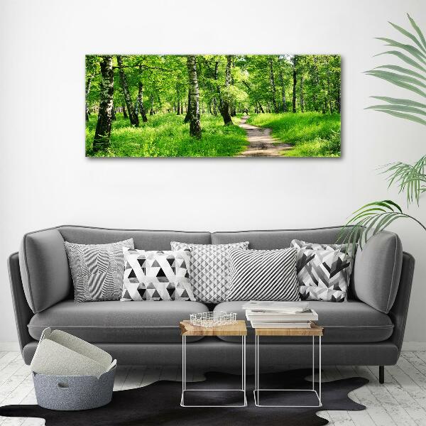 Foto quadro su tela Foresta di betulle