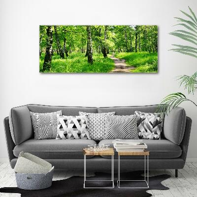 Foto quadro su tela Foresta di betulle