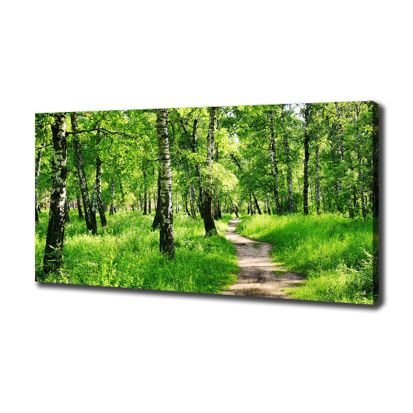 Foto quadro su tela Foresta di betulle
