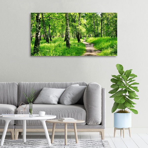 Foto quadro su tela Foresta di betulle