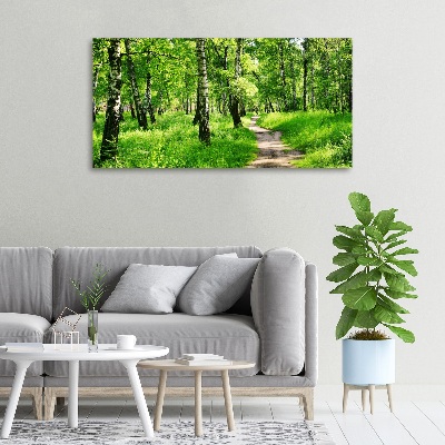 Foto quadro su tela Foresta di betulle