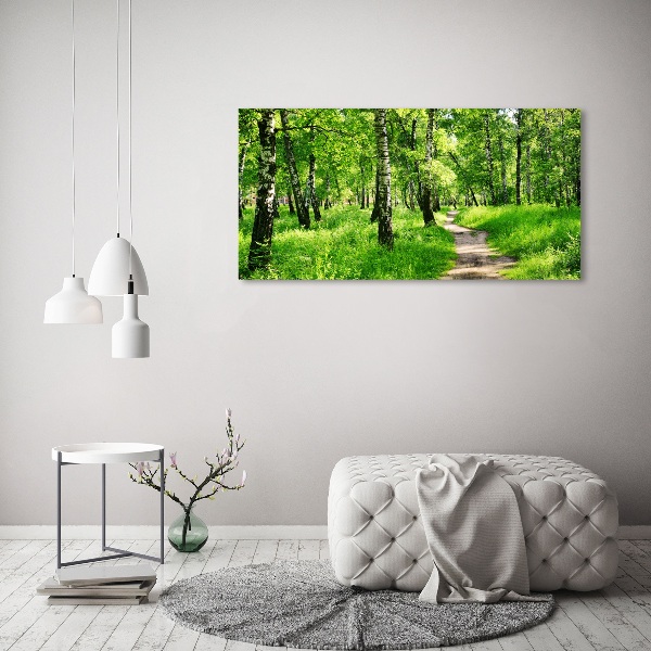 Foto quadro su tela Foresta di betulle