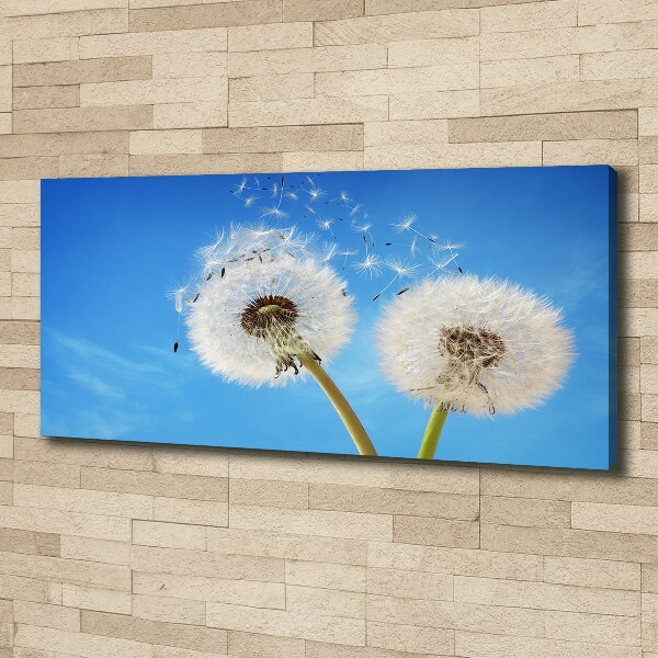 Quadro su tela Denti di leone