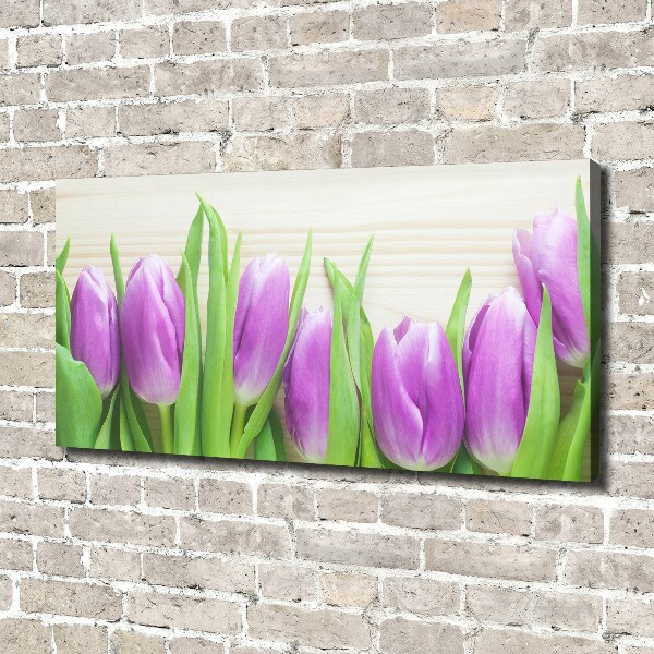 Foto quadro su tela Tulipani viola
