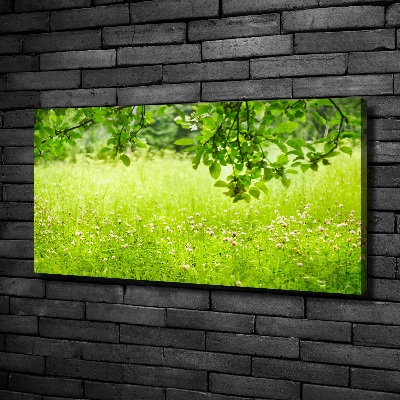 Quadro stampa su tela Prato verde