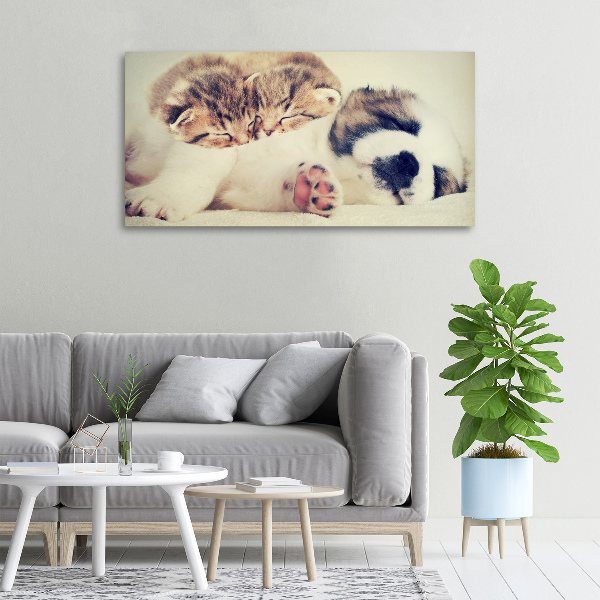 Quadro su tela Due gatti e un cane