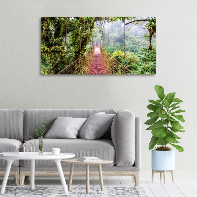 Foto quadro su tela Un ponte ai tropici