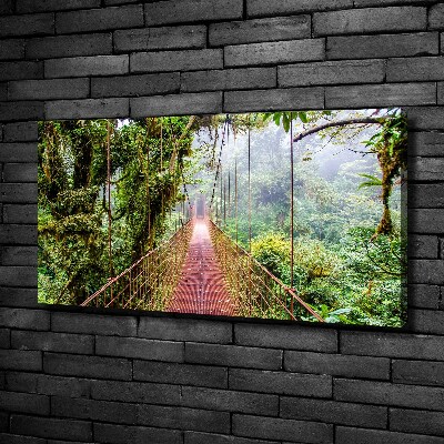 Foto quadro su tela Un ponte ai tropici