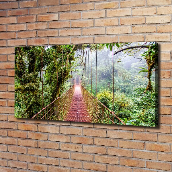 Foto quadro su tela Un ponte ai tropici