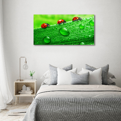 Quadro su tela Coccinelle sull'erba