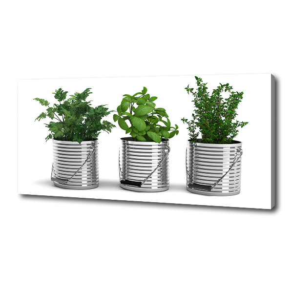 Foto quadro su tela Piante aromatiche