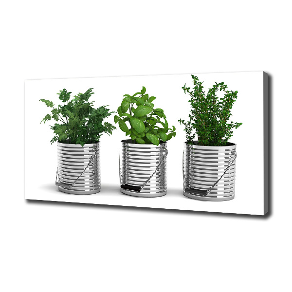 Foto quadro su tela Piante aromatiche