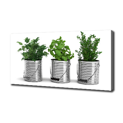 Foto quadro su tela Piante aromatiche