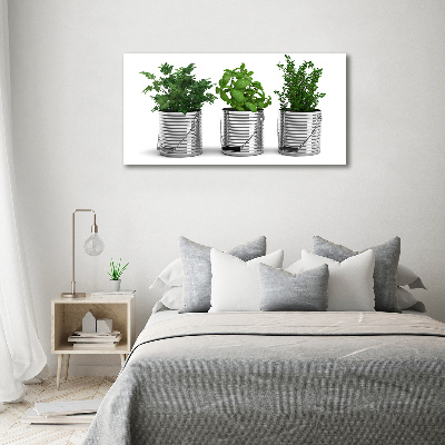 Foto quadro su tela Piante aromatiche