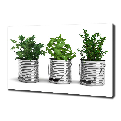 Foto quadro su tela Piante aromatiche