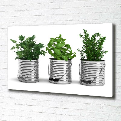 Foto quadro su tela Piante aromatiche