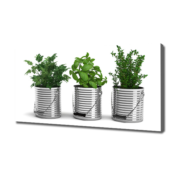 Foto quadro su tela Piante aromatiche