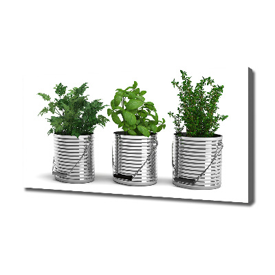 Foto quadro su tela Piante aromatiche