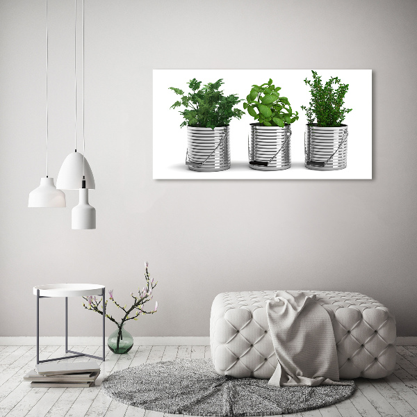 Foto quadro su tela Piante aromatiche