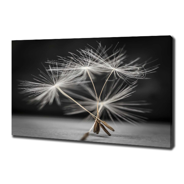 Quadro su tela Semi di tarassaco