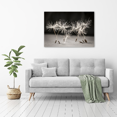 Foto quadro su tela Semi di tarassaco