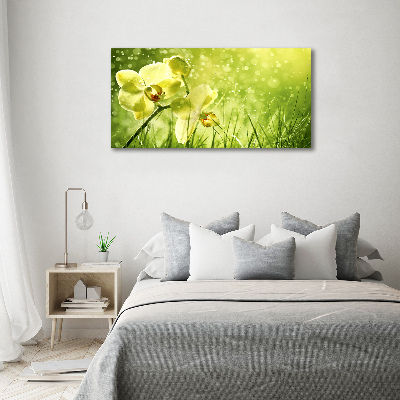 Quadro stampa su tela Orchidea