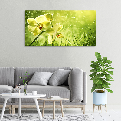Quadro stampa su tela Orchidea