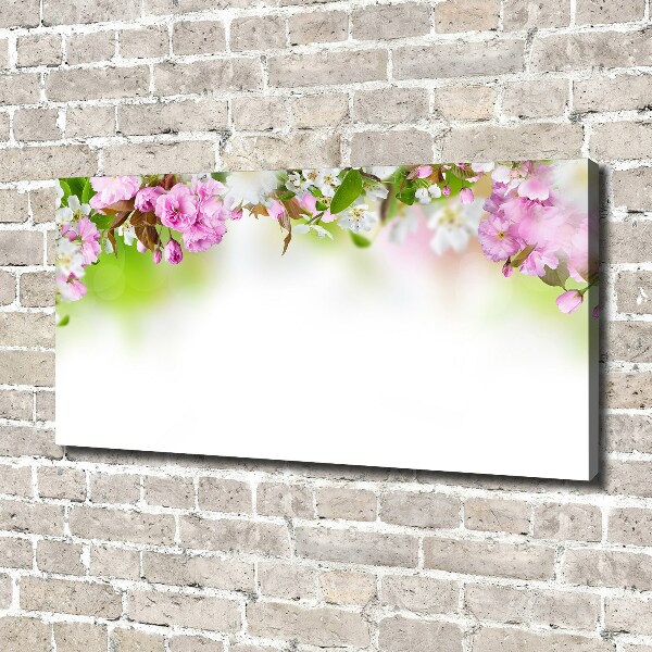 Quadro su tela Fiori primaverili