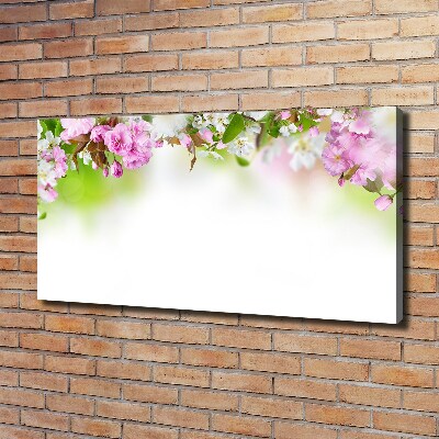 Quadro su tela Fiori primaverili