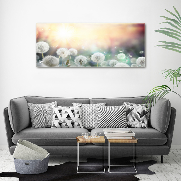 Foto quadro su tela Campo di tarassaco